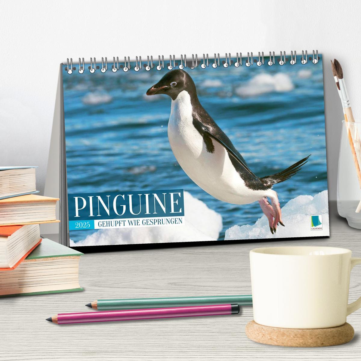 Bild: 9783457198018 | Pinguine: Gehupft wie gesprungen (Tischkalender 2025 DIN A5 quer),...