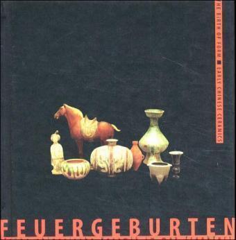 Cover: 9783884232026 | Feuergeburten, m. CD-ROM | Stephan von der Schulenburg (u. a.) | Buch