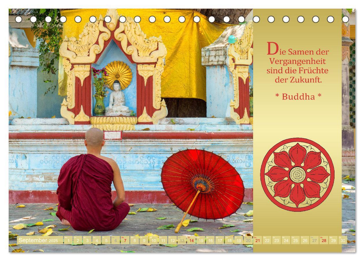 Bild: 9783435081004 | BUDDHAS WORTE - Buddhistische Weisheiten (Tischkalender 2025 DIN A5...