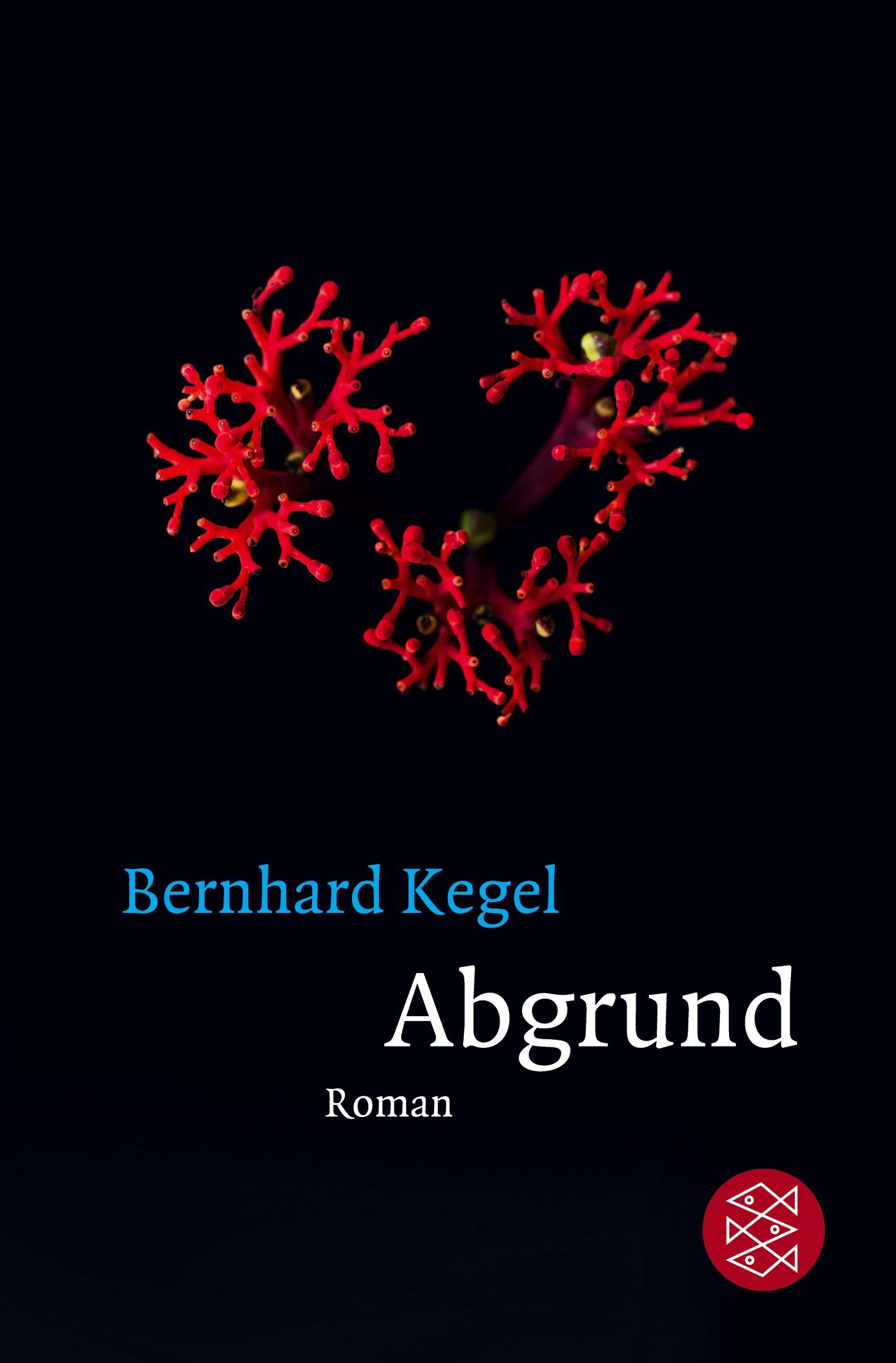 Cover: 9783596299614 | Abgrund | Roman | Bernhard Kegel | Taschenbuch | 382 S. | Deutsch