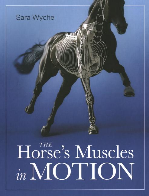 Cover: 9780719840869 | Horse's Muscles in Motion | Sara Wyche | Taschenbuch | Englisch | 2022