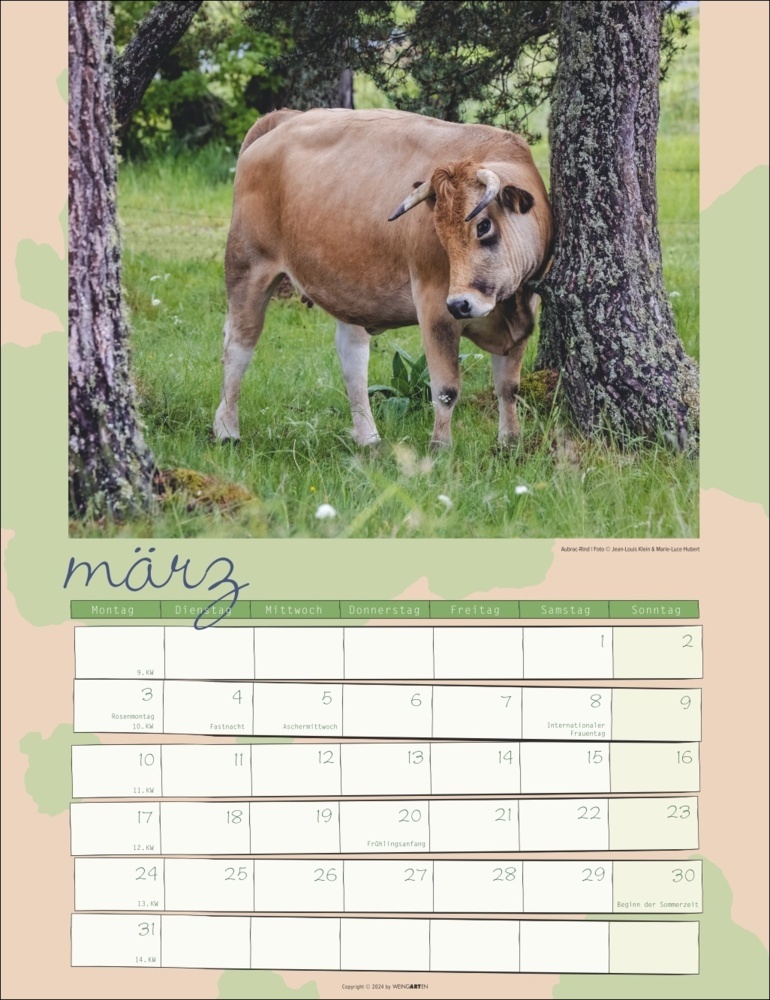 Bild: 9783839900734 | Kuh Kalender 2025 | Marie-Luce Hubert (u. a.) | Kalender | 14 S.