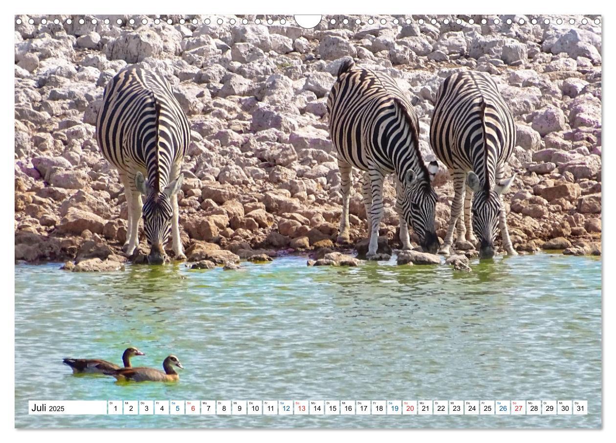 Bild: 9783435221950 | Namibia, Faszination Wüste und Tierwelt (Wandkalender 2025 DIN A3...