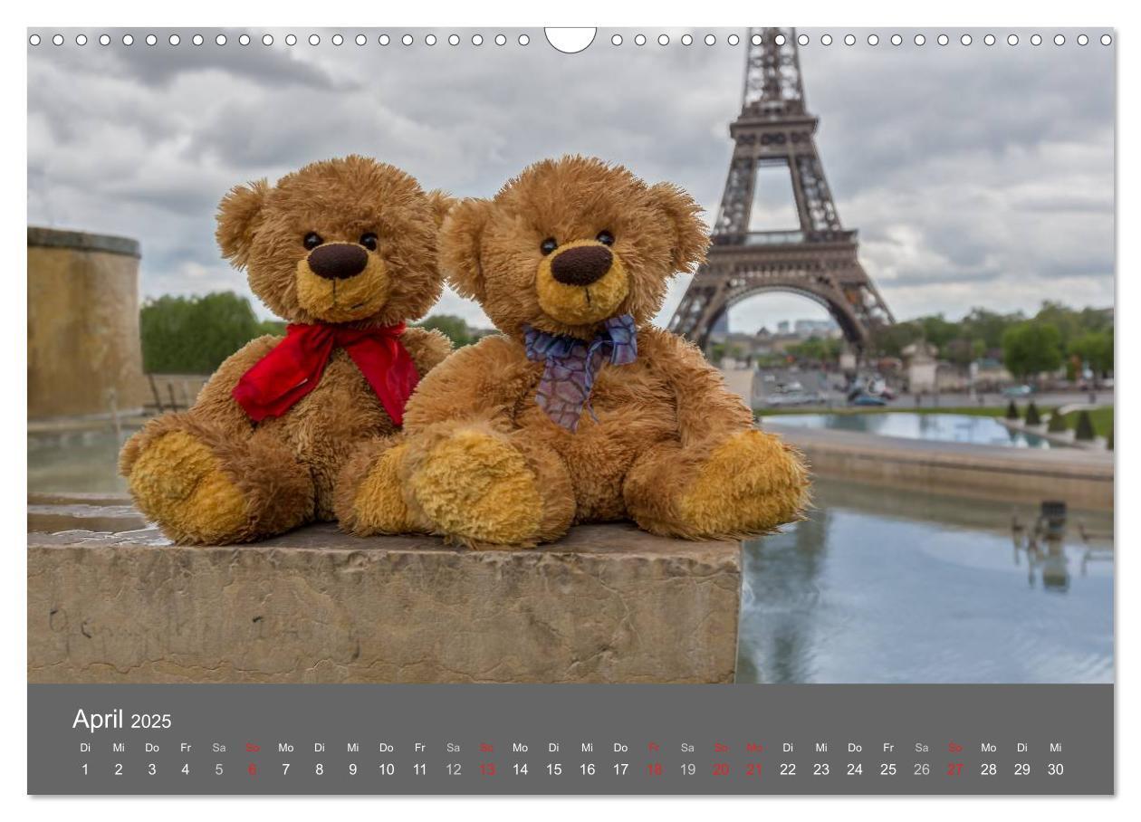 Bild: 9783435503063 | Travelling Teddy 2025 (Wandkalender 2025 DIN A3 quer), CALVENDO...