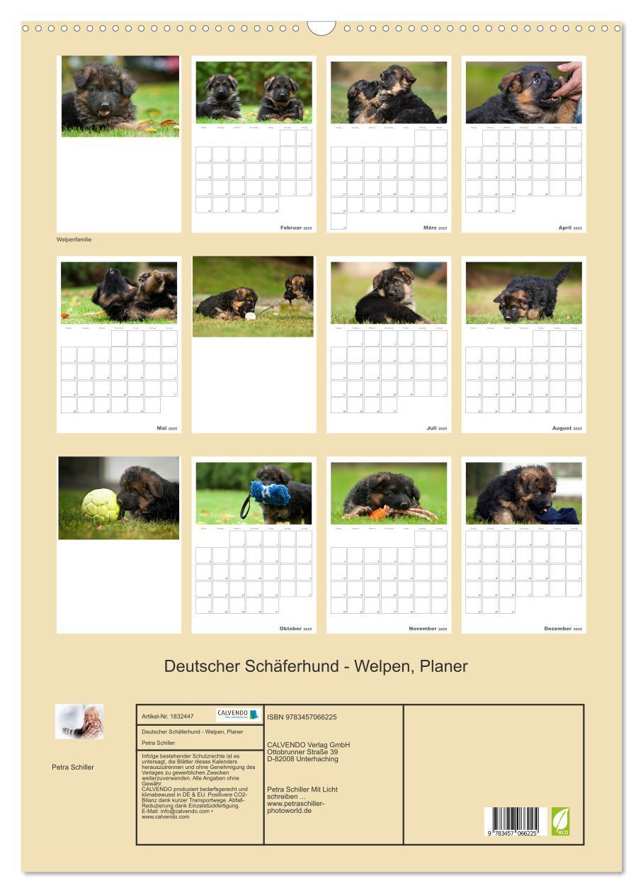 Bild: 9783457066225 | Deutscher Schäferhund - Welpen, Planer (Wandkalender 2025 DIN A2...