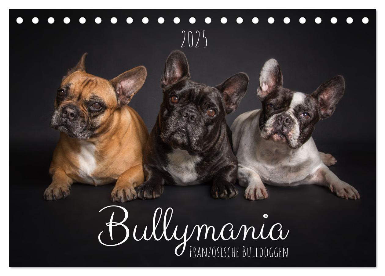 Cover: 9783435025626 | Bullymania - Französische Bulldoggen (Tischkalender 2025 DIN A5...