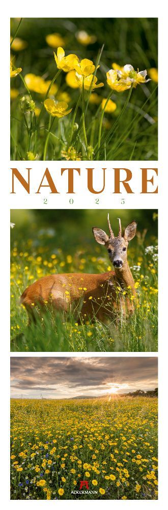 Cover: 9783838425566 | Nature Triplet-Kalender 2025 | Ackermann Kunstverlag | Kalender | 2025