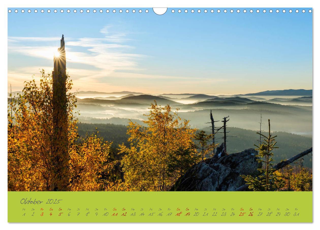 Bild: 9783435193912 | Der Bayerische Wald (Wandkalender 2025 DIN A3 quer), CALVENDO...