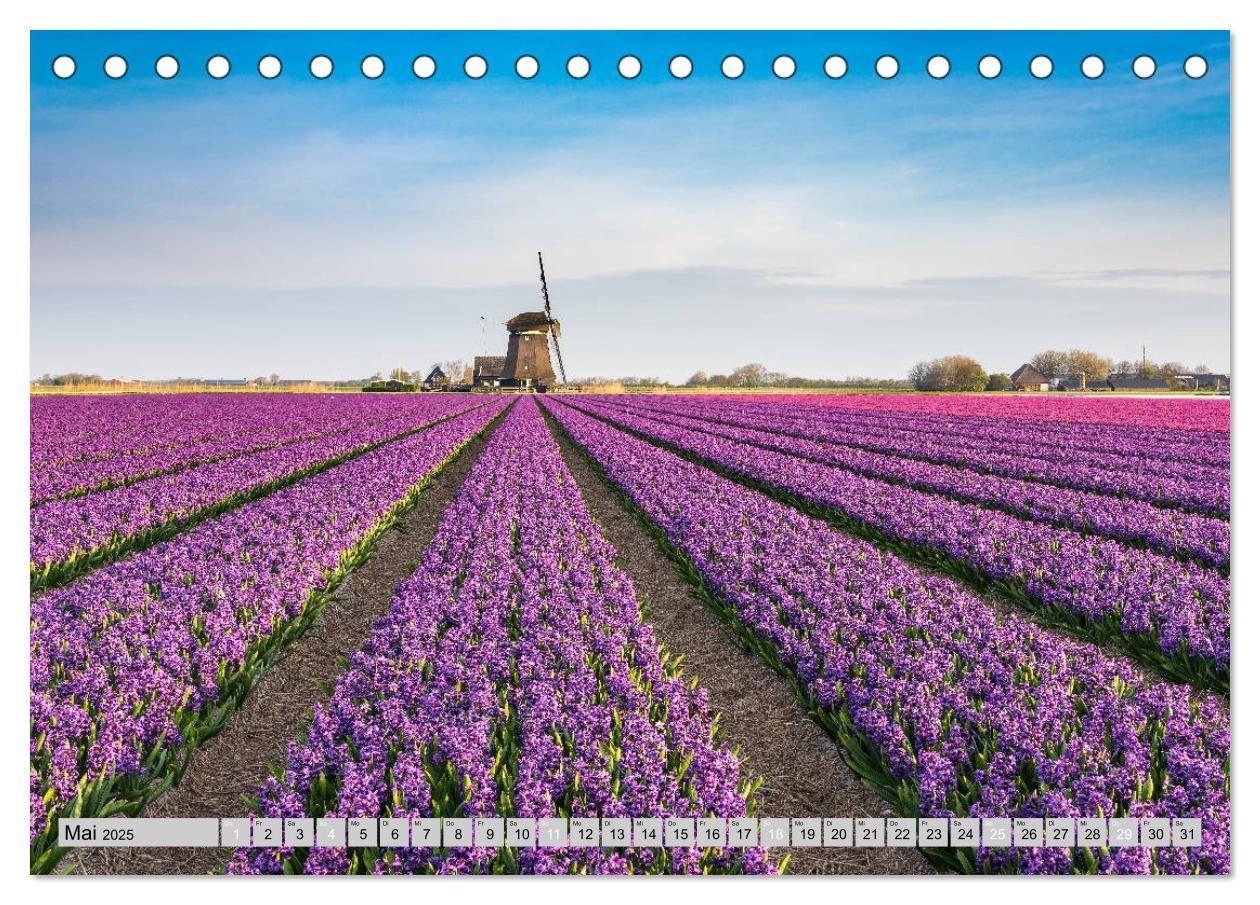 Bild: 9783435116034 | Wunderschöne Niederlande (Tischkalender 2025 DIN A5 quer), CALVENDO...