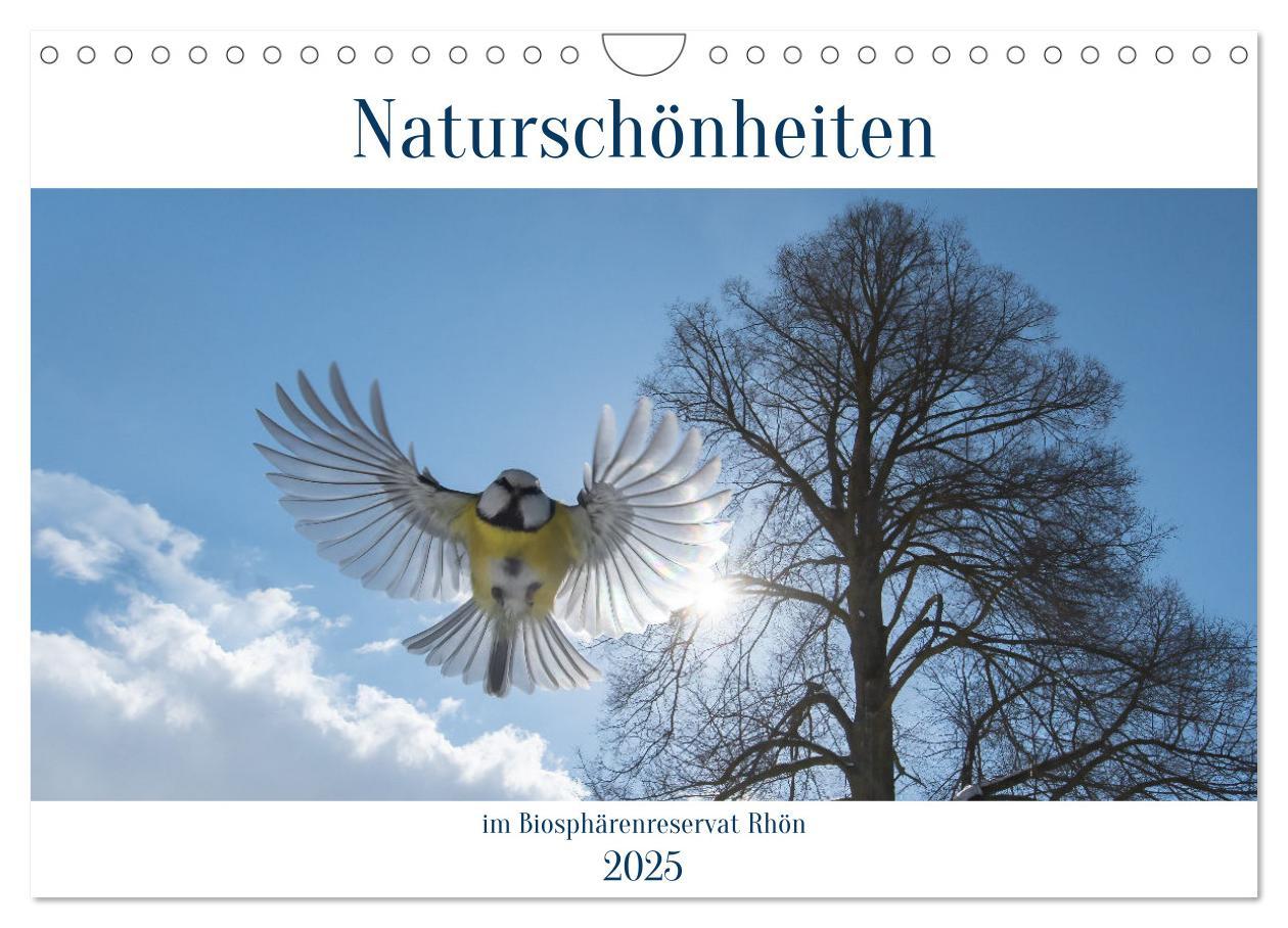 Cover: 9783383955235 | Naturschönheiten im Biosphärerenreservat Rhön (Wandkalender 2025...