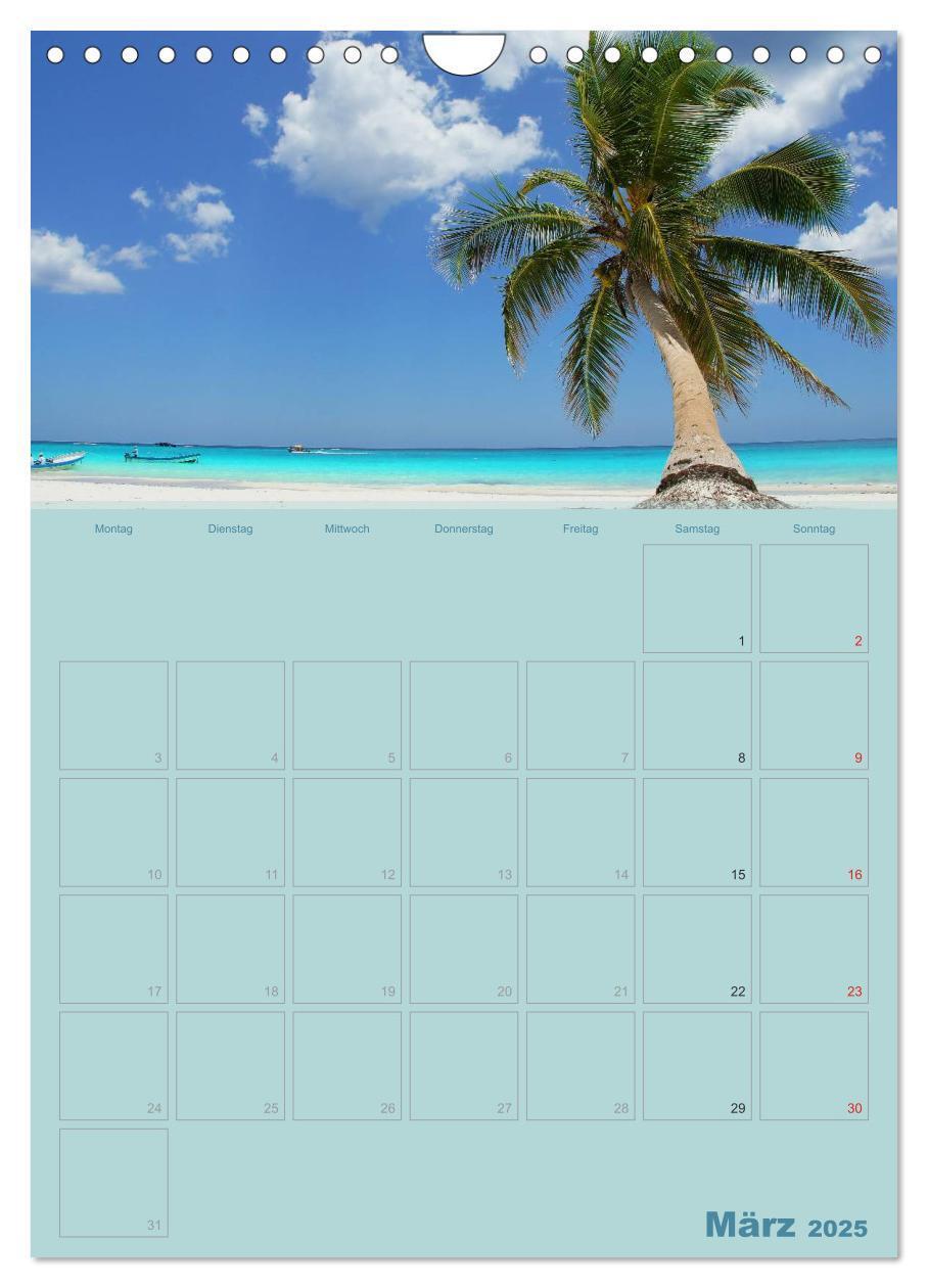 Bild: 9783457049600 | Karibik - Sonne, Strand und Palmen (Wandkalender 2025 DIN A4 hoch),...