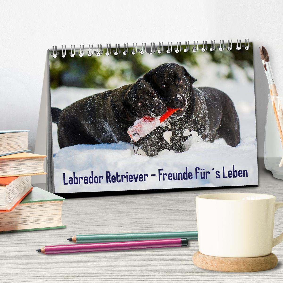 Bild: 9783435563982 | Labrador Retriever - Freunde für´s Leben (Tischkalender 2025 DIN A5...