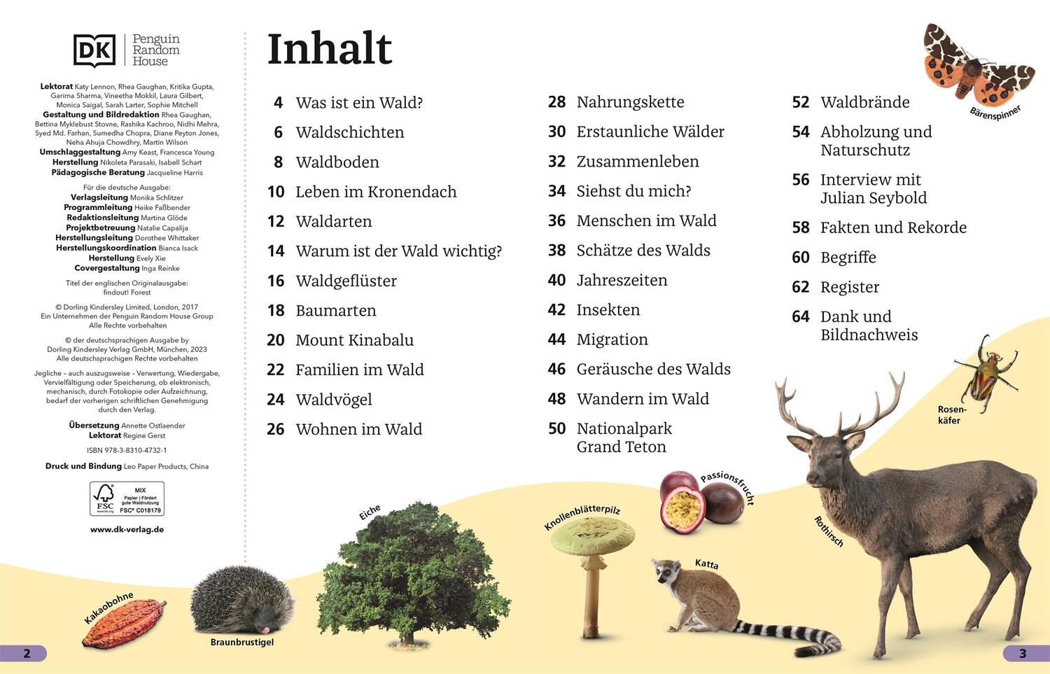 Bild: 9783831047321 | Superchecker! Wald | Taschenbuch | Superchecker! | Deutsch | 2023