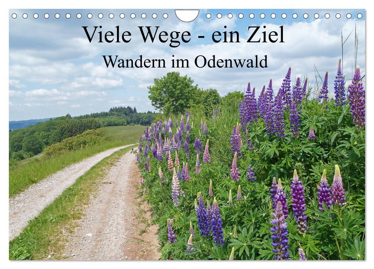 Cover: 9783435222698 | Viele Wege - ein Ziel Wandern im Odenwald (Wandkalender 2025 DIN A4...