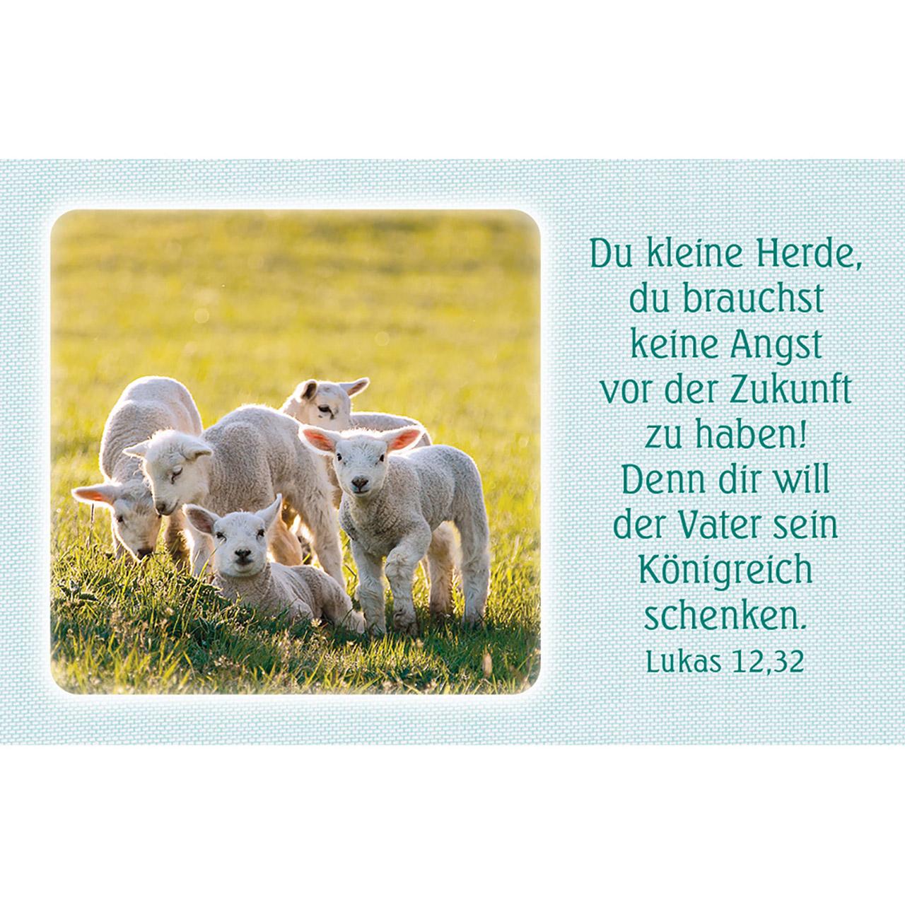 Bild: 4034905014912 | Jesus-Zitate | 62 Karten mit Farbbildern und Bibelworten | Taschenbuch