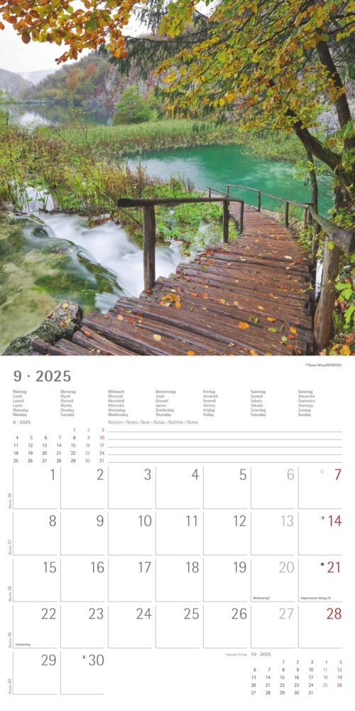 Bild: 4251732340919 | Alpha Edition - Wege 2025 Broschürenkalender, 30x30cm, Wandkalender...