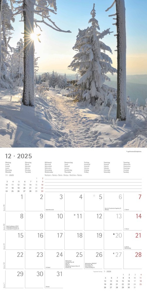 Bild: 4251732340919 | Alpha Edition - Wege 2025 Broschürenkalender, 30x30cm, Wandkalender...