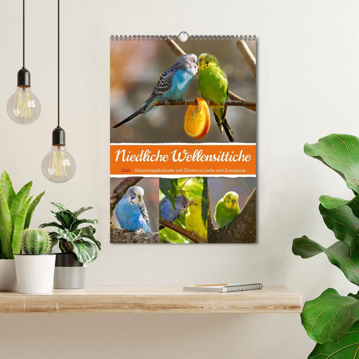 Bild: 9783435890620 | Niedliche Wellensittiche (Wandkalender 2025 DIN A3 hoch), CALVENDO...