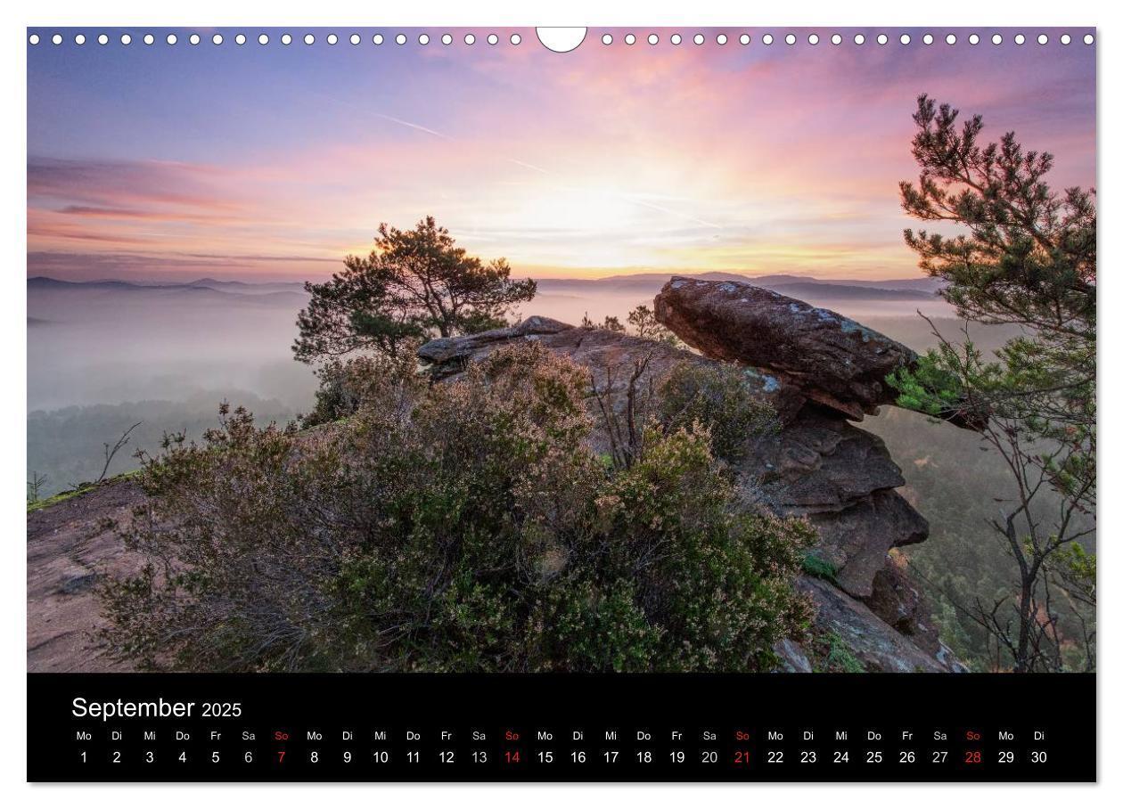 Bild: 9783435592432 | Mystischer Pfälzer Wald (Wandkalender 2025 DIN A3 quer), CALVENDO...