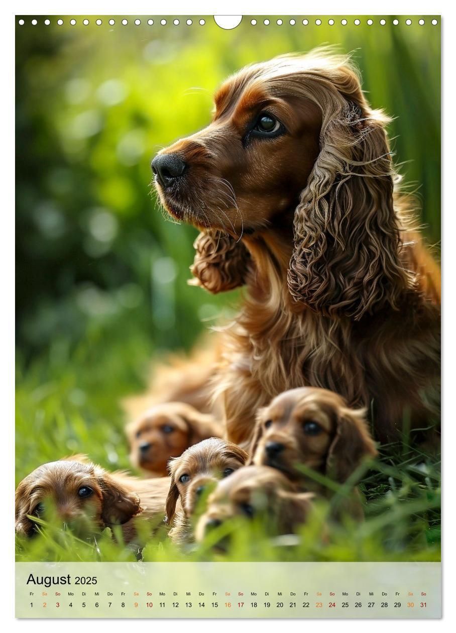 Bild: 9783383765421 | Cocker Spaniel - ein Hund für die Familie (Wandkalender 2025 DIN A3...