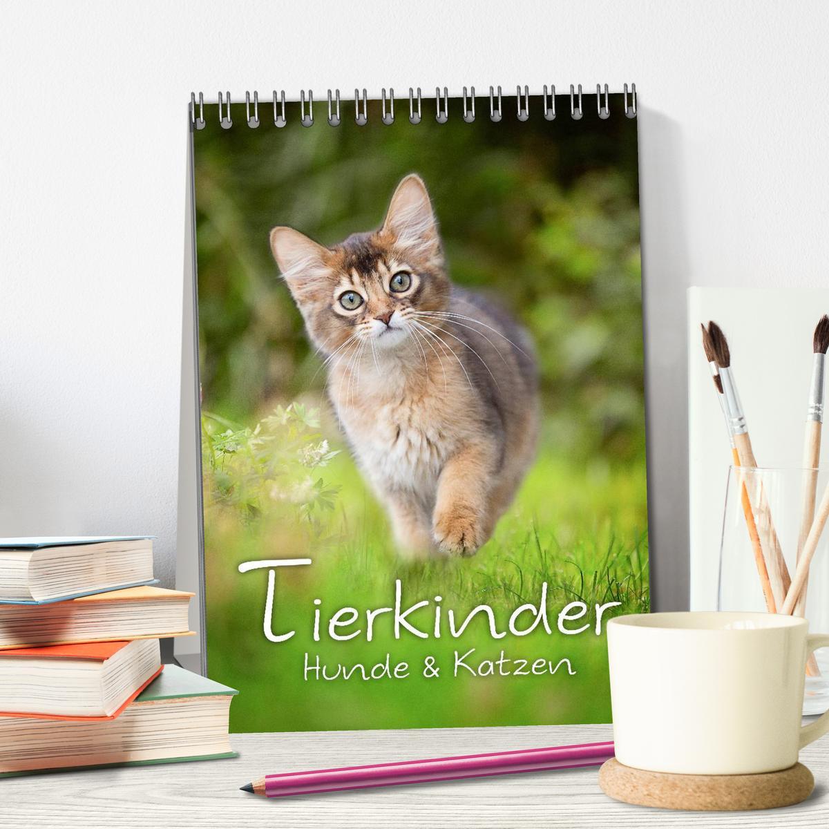 Bild: 9783457040416 | Tierkinder Hunde und Katzen (Tischkalender 2025 DIN A5 hoch),...