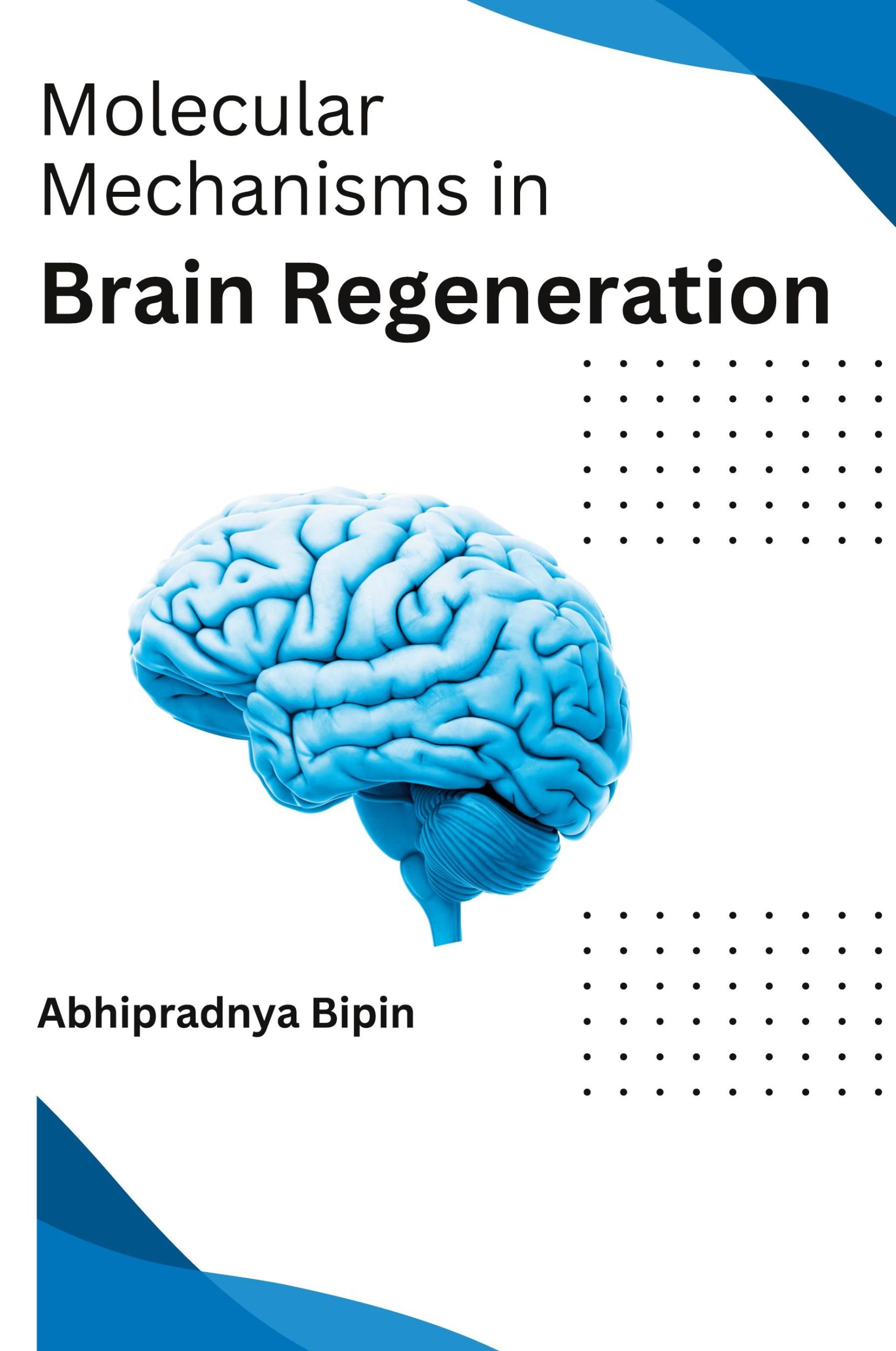 Cover: 9787410991517 | Molecular Mechanisms in Brain Regeneration | Bipin Abhipradnya | Buch