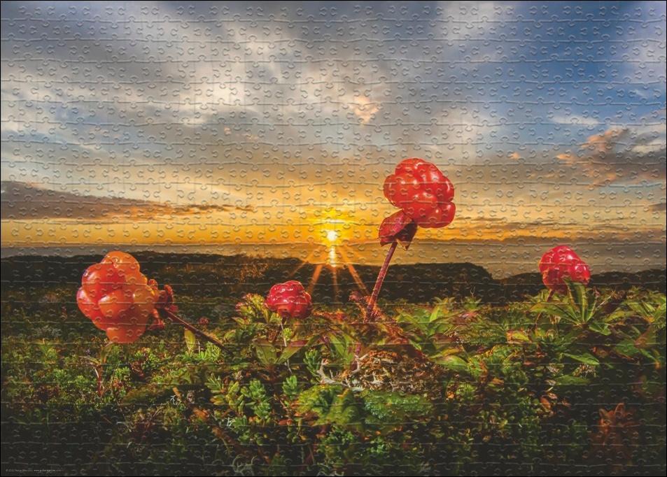 Bild: 4001689300166 | Cloudberries Puzzle 1000 Teile | Audun Rikardsen | Stück | 30016