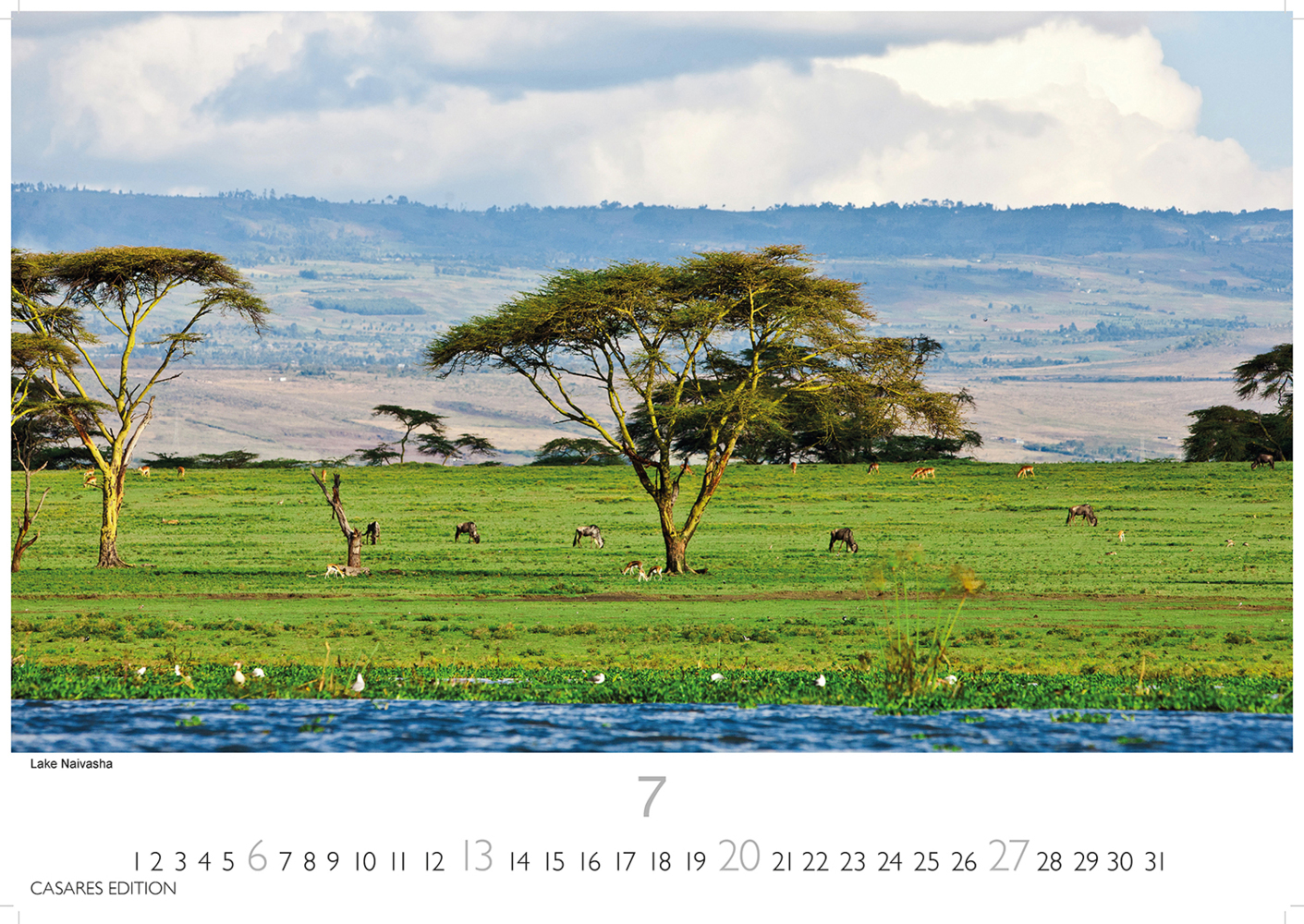 Bild: 9781835240601 | Kenia/Serengeti 2025 L 35x50cm | Kalender | 14 S. | Deutsch | 2025