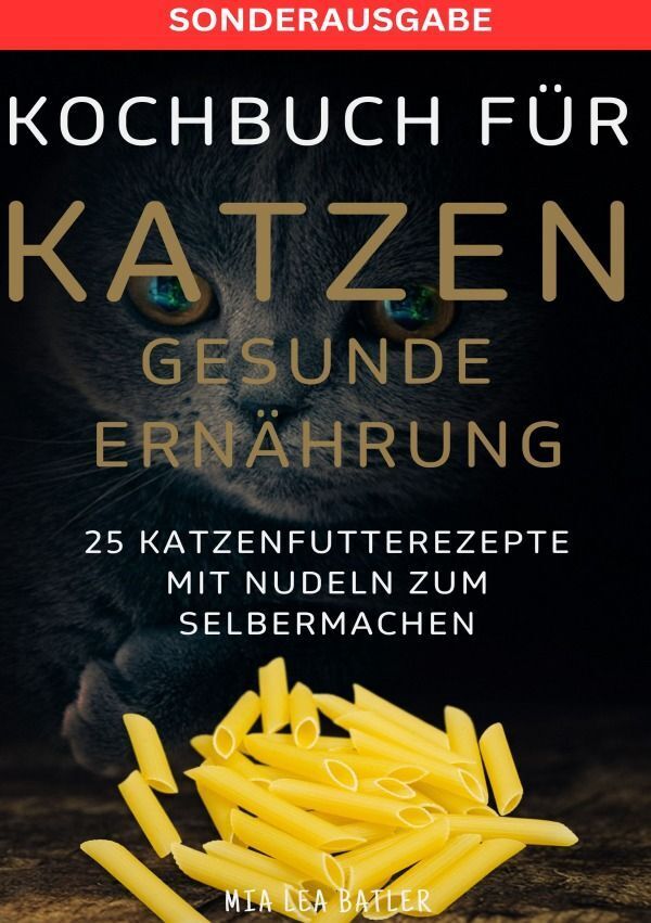 Cover: 9783759804907 | KOCHBUCH FÜR KATZEN GESUNDE ERNÄHRUNG -25 Katzenfutterrezepte mit...