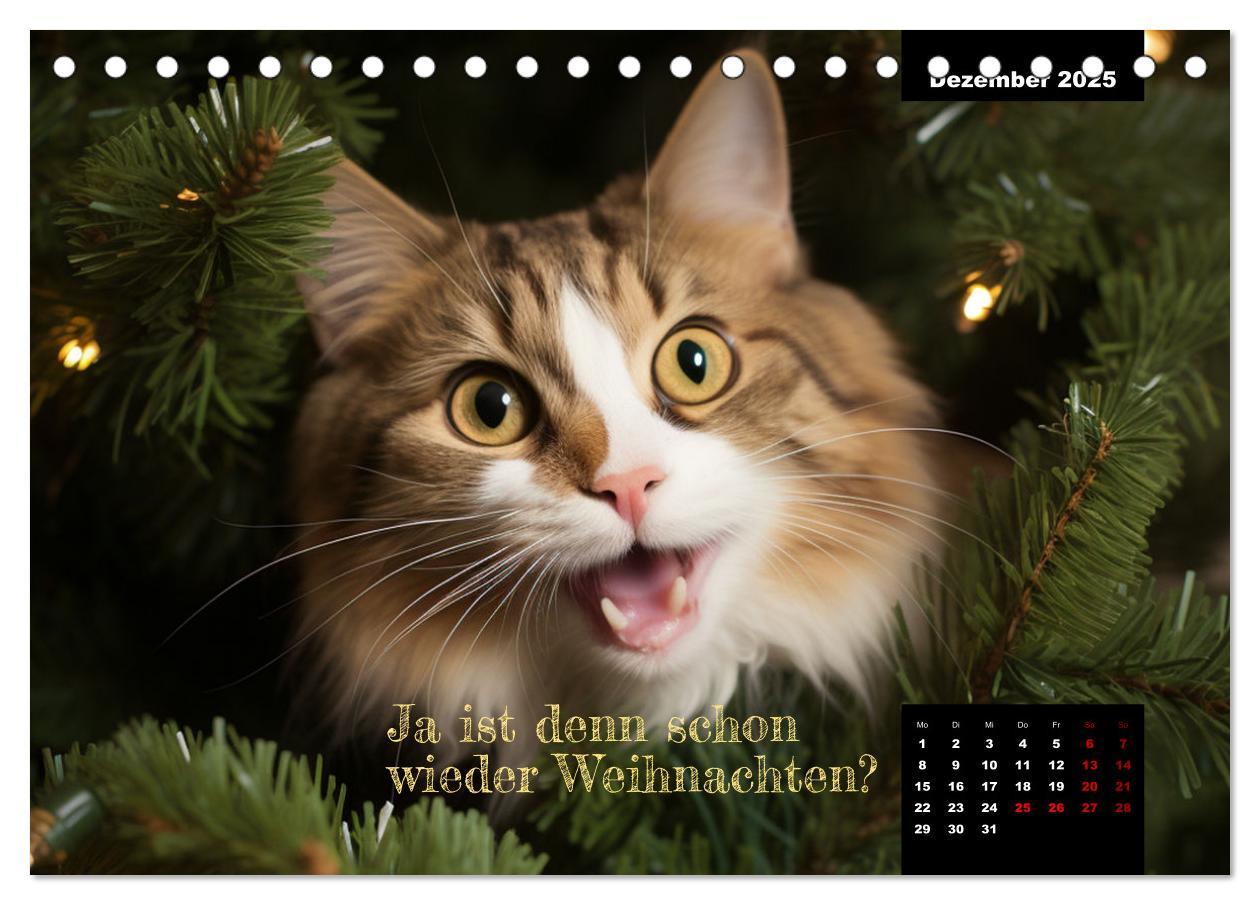 Bild: 9783383837753 | Katzen können alles, außer traurig. (Tischkalender 2025 DIN A5...