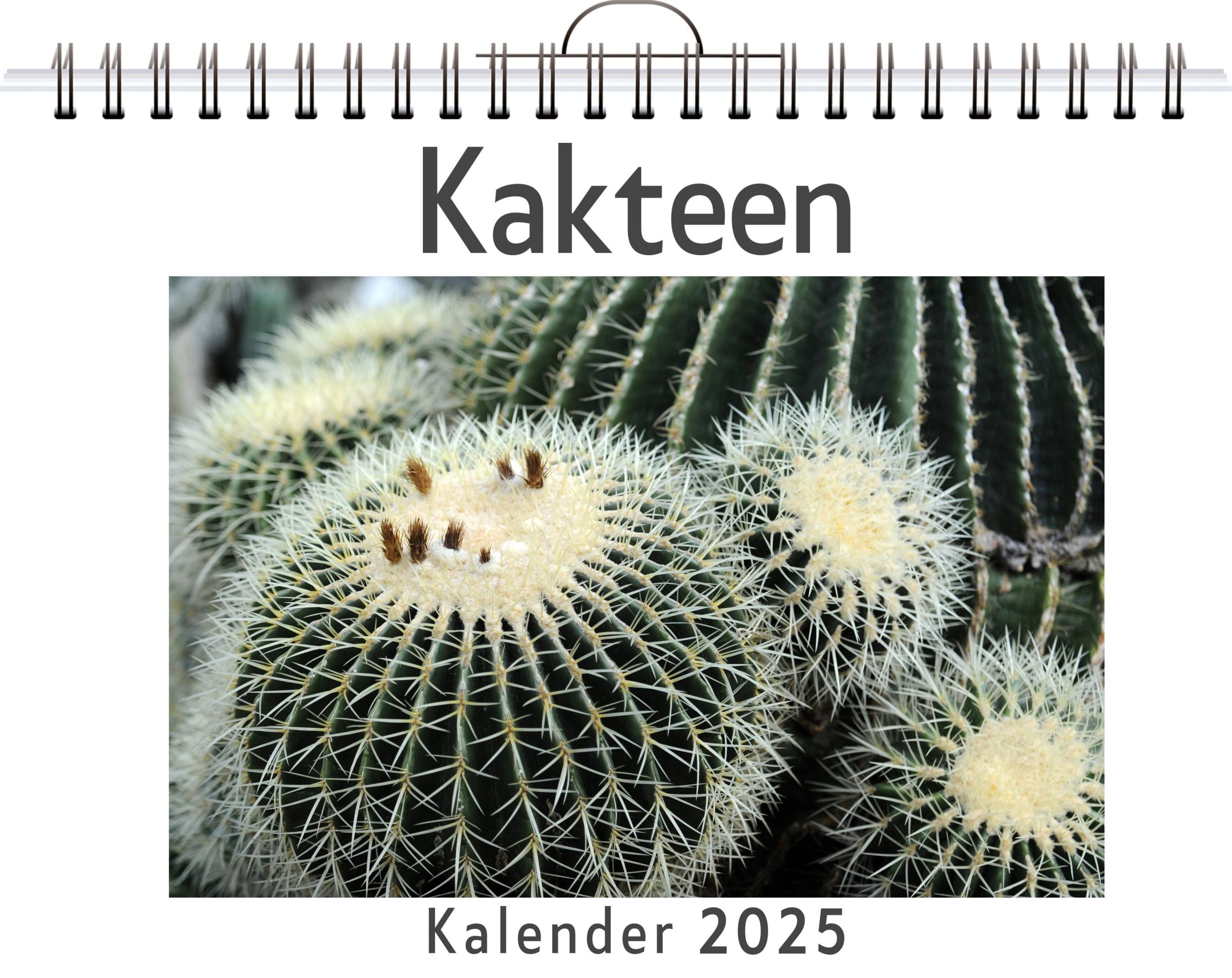 Cover: 9783759128454 | Kakteen | Nora Koch | Kalender | Kalender | 14 S. | Deutsch | FlipFlop