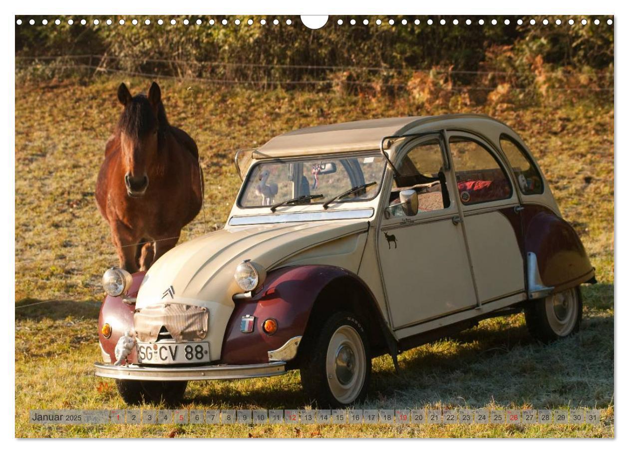 Bild: 9783435591794 | Kultauto Ente Citroën 2CV (Wandkalender 2025 DIN A3 quer), CALVENDO...