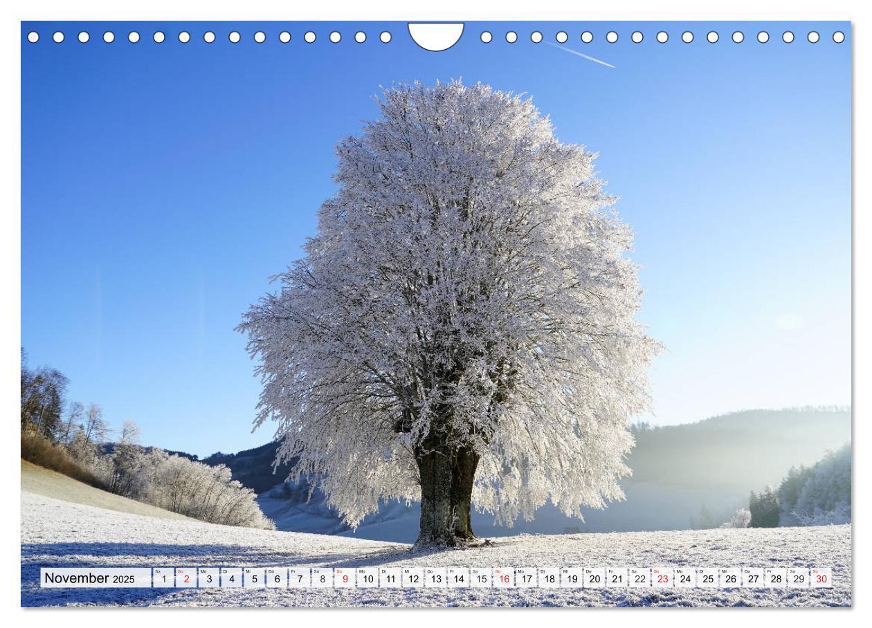 Bild: 9783435317813 | Winter. Zauberhafte Schneelandschaften (Wandkalender 2025 DIN A4...