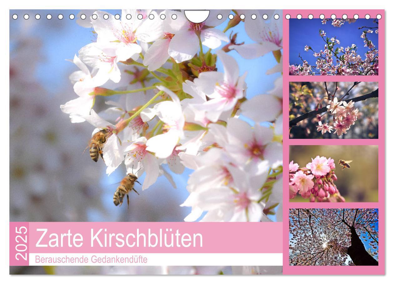 Cover: 9783435403165 | Zarte Kirschblüten - Berauschende Gedankendüfte (Wandkalender 2025...