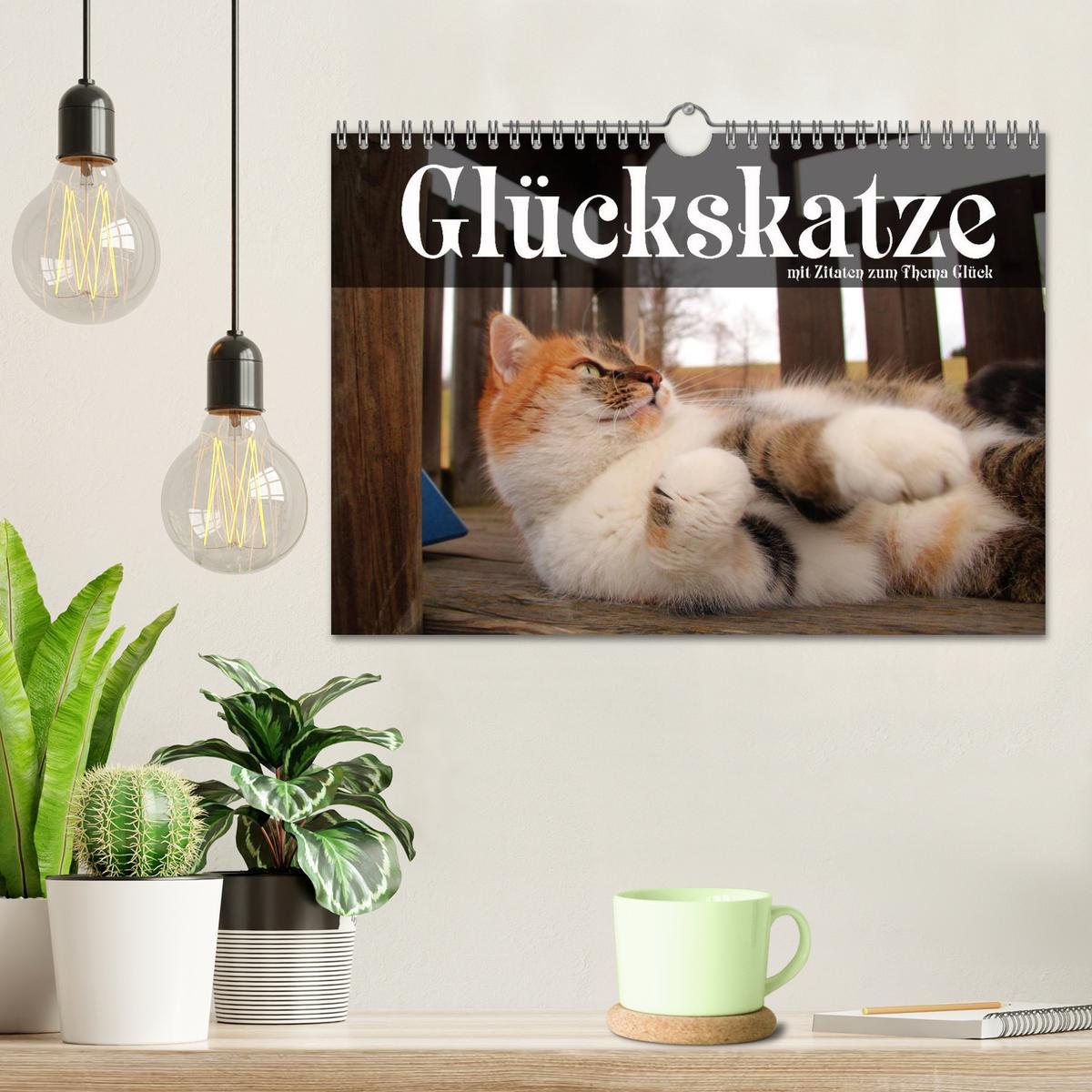 Bild: 9783435656509 | Glückskatze - Mit Zitaten zum Thema Glück (Wandkalender 2025 DIN A4...