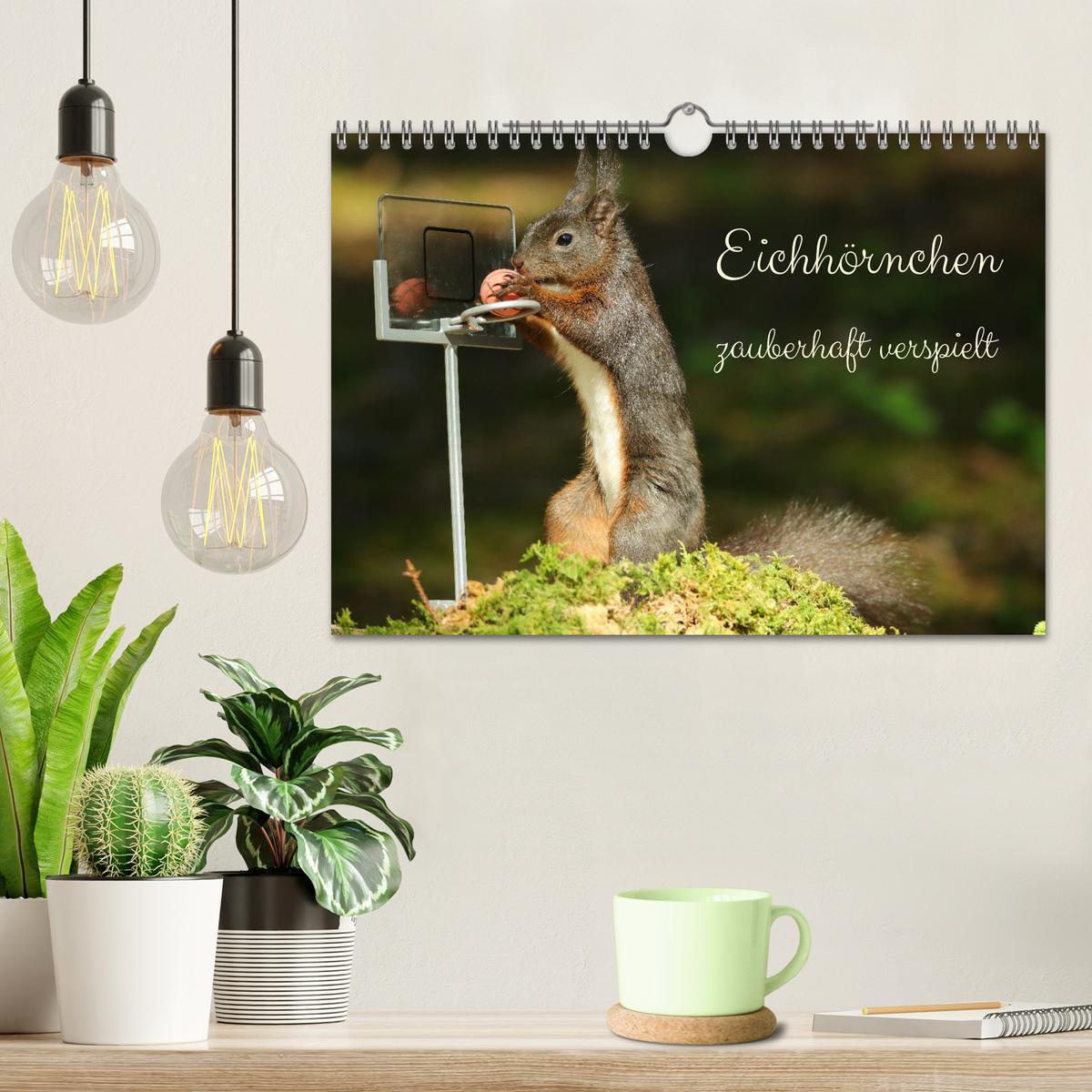 Bild: 9783435063383 | Eichhörnchen - zauberhaft verspielt (Wandkalender 2025 DIN A4...