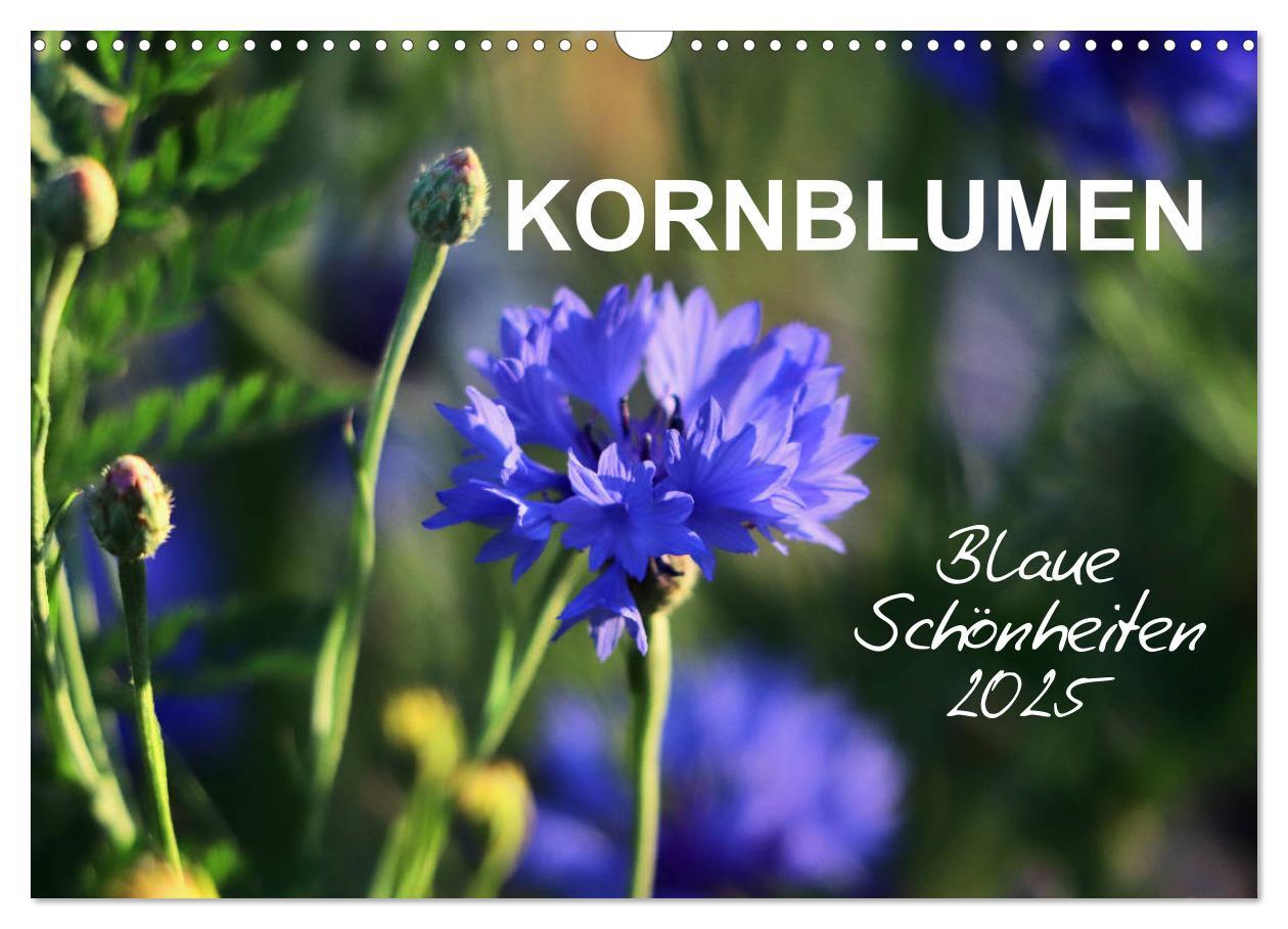 Cover: 9783435398225 | Kornblumen - Blaue Schönheiten (Wandkalender 2025 DIN A3 quer),...