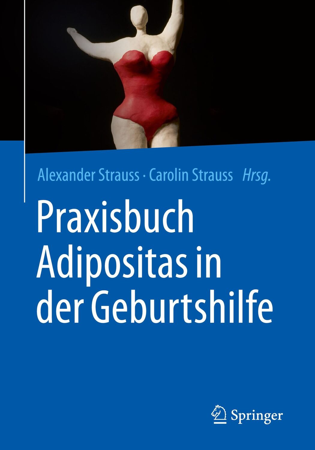 Cover: 9783662619056 | Praxisbuch Adipositas in der Geburtshilfe | Alexander Strauss (u. a.)