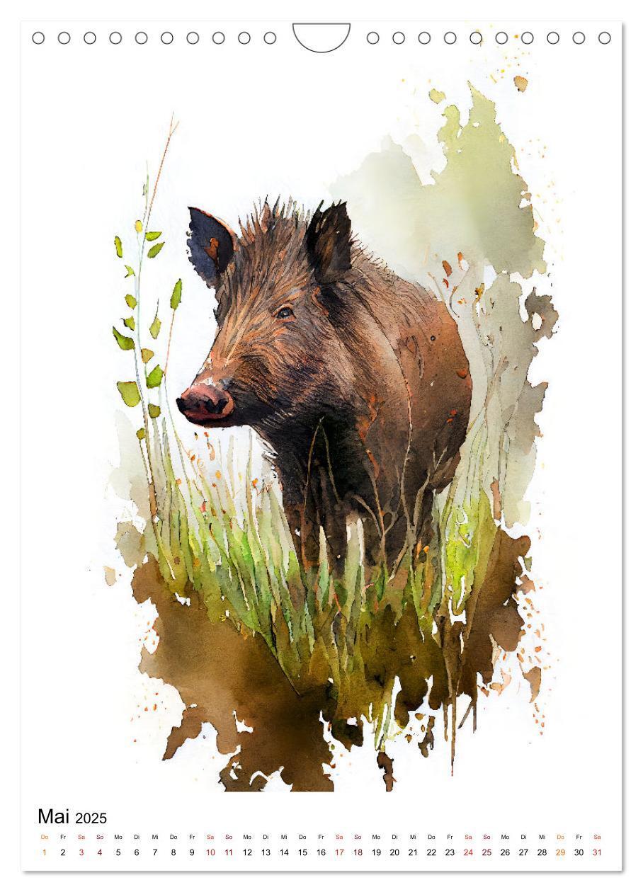 Bild: 9783435884469 | Waldtiere in Aquarell - Heimische Tierarten (Wandkalender 2025 DIN...