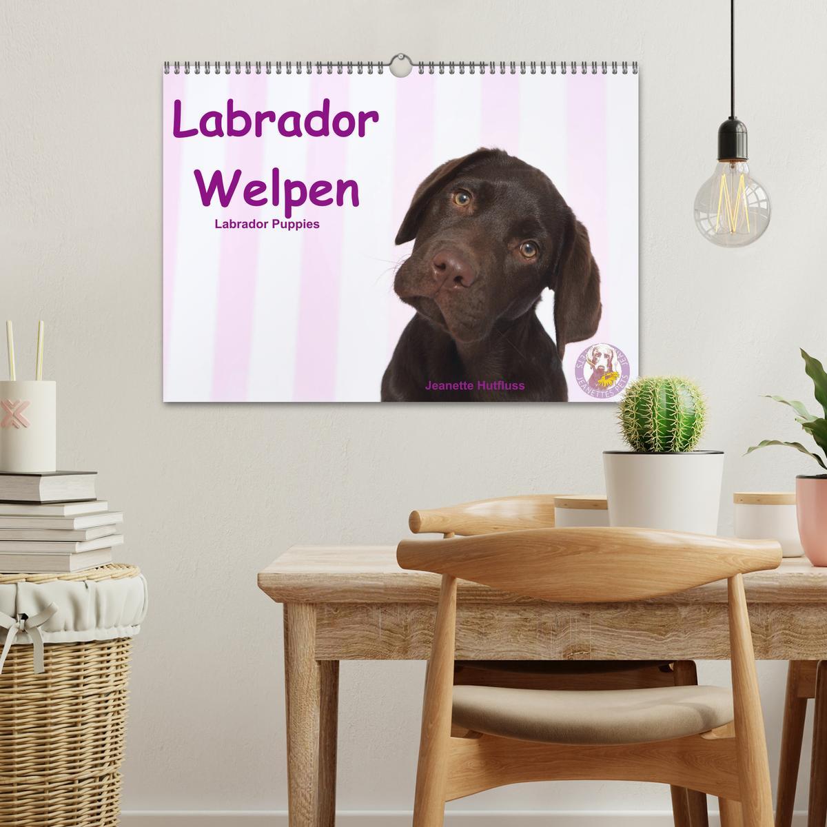 Bild: 9783435199266 | Labrador Welpen - Labrador Puppies (Wandkalender 2025 DIN A3 quer),...