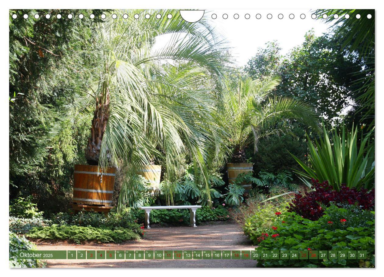 Bild: 9783435026043 | Im Wörlitzer Gartenreich (Wandkalender 2025 DIN A4 quer), CALVENDO...