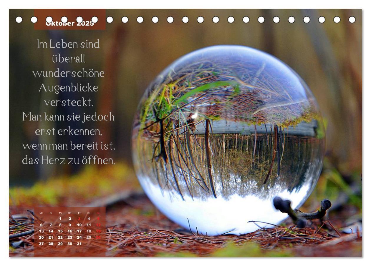 Bild: 9783435541317 | Die Welt in der Kugel (Tischkalender 2025 DIN A5 quer), CALVENDO...