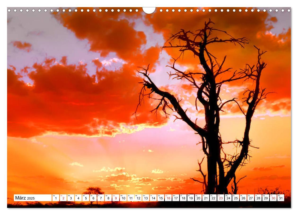 Bild: 9783435156139 | Namibia &amp; Botswana (Wandkalender 2025 DIN A3 quer), CALVENDO...