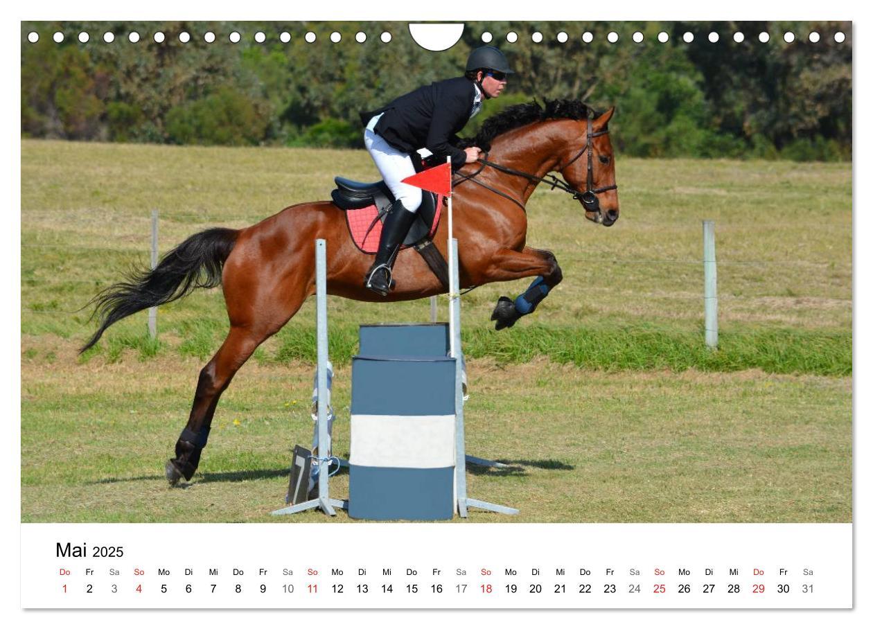 Bild: 9783435618507 | Vielseitigkeitsreiten (Wandkalender 2025 DIN A4 quer), CALVENDO...