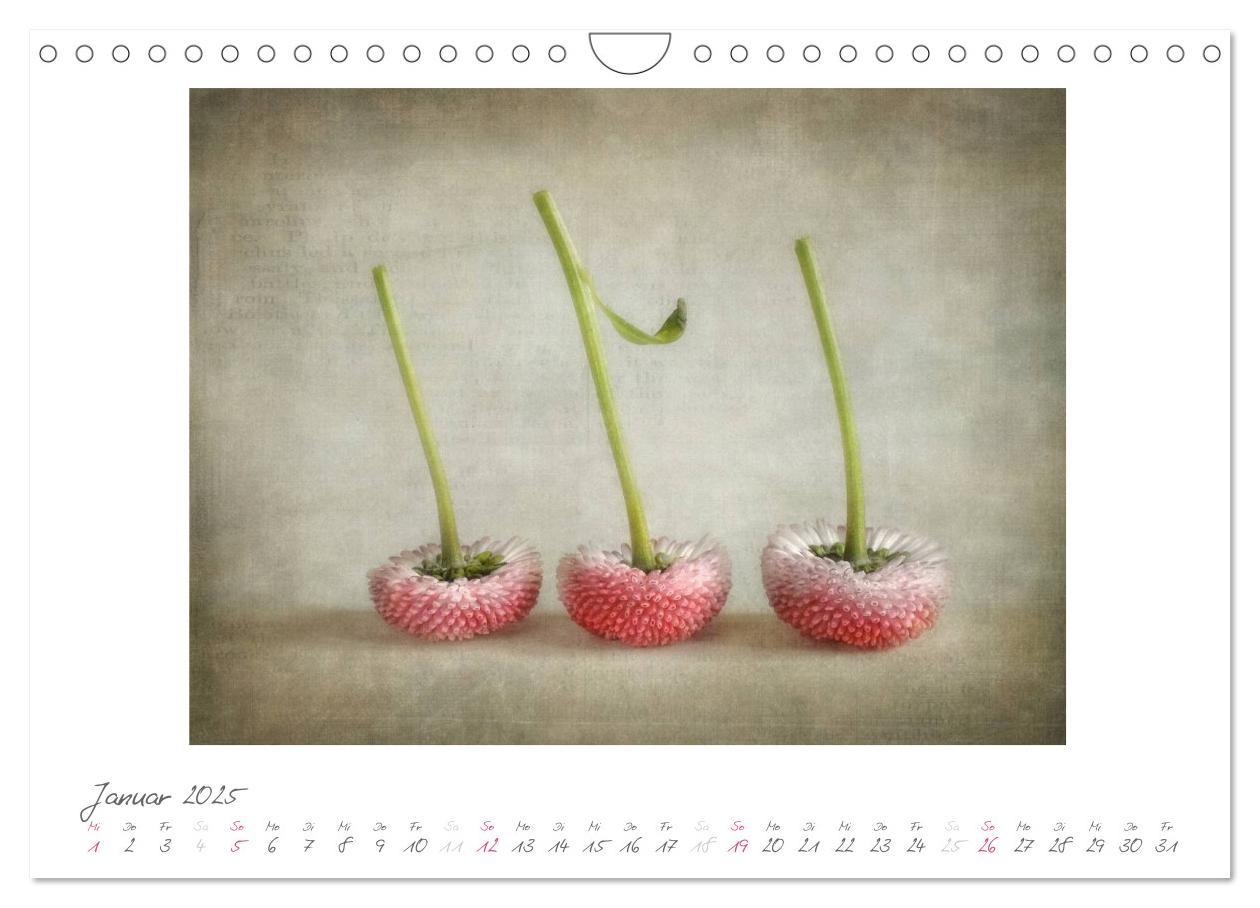 Bild: 9783435788149 | Vintage Flowers (Wandkalender 2025 DIN A4 quer), CALVENDO...