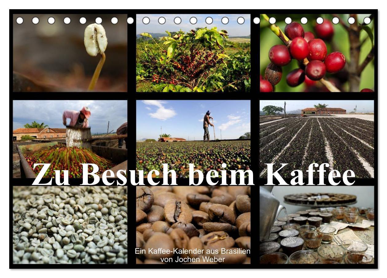 Cover: 9783435586813 | Zu Besuch beim Kaffee (Tischkalender 2025 DIN A5 quer), CALVENDO...