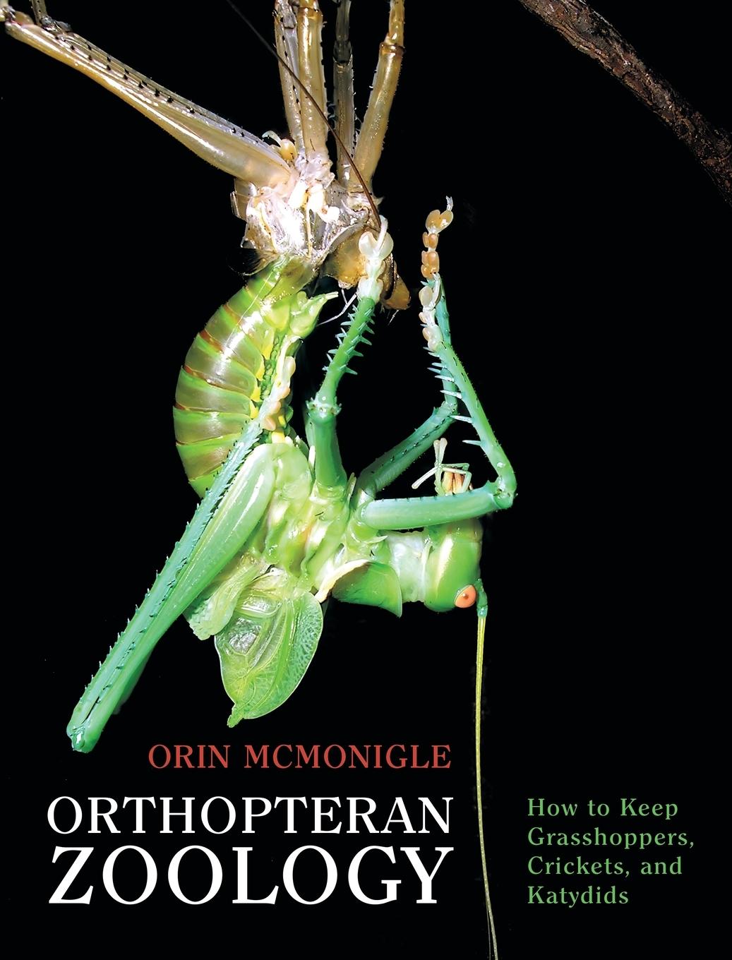 Cover: 9781616465162 | Orthopteran Zoology | How to Keep Grasshoppers, Crickets, and Katydids