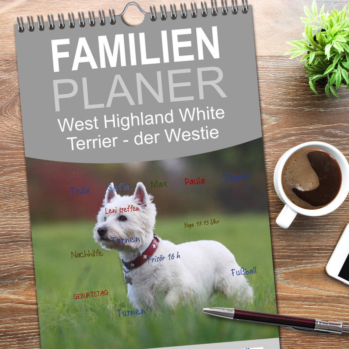 Bild: 9783457114063 | Familienplaner 2025 - West Highland White Terrier - Selbstbewustes...