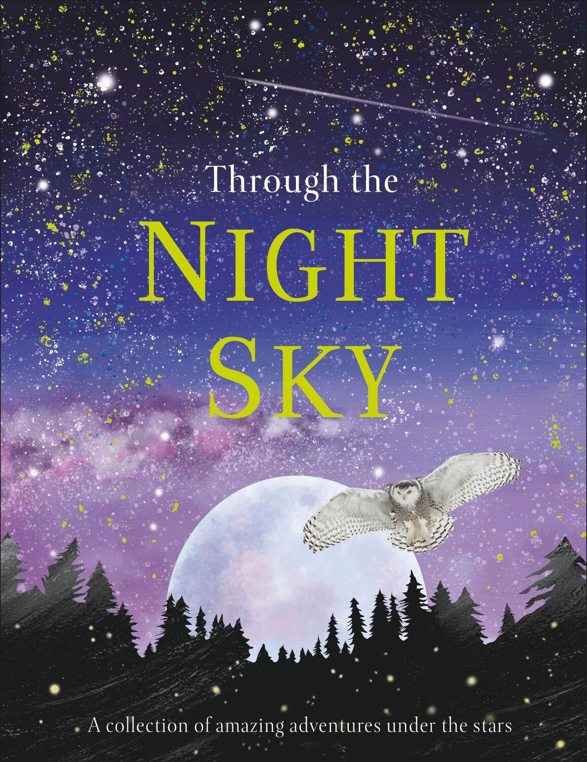 Cover: 9780241355459 | Through the Night Sky | Dk | Buch | Gebunden | Englisch | 2020