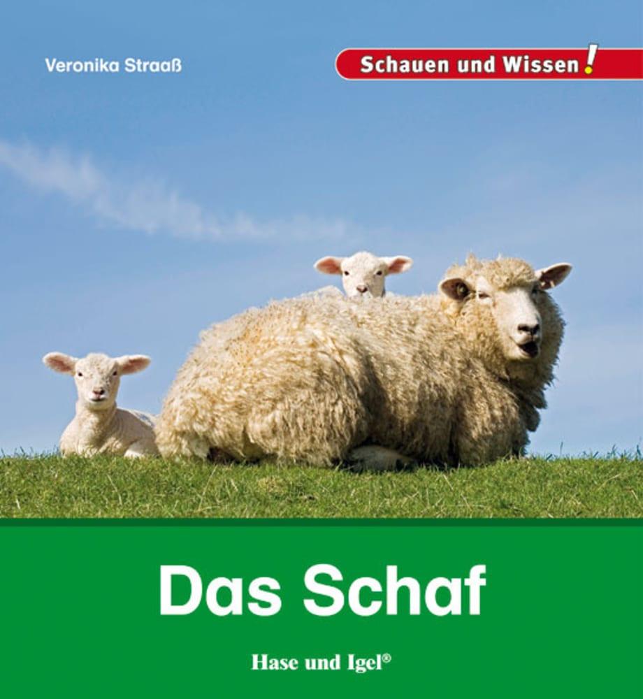 Cover: 9783867607865 | Das Schaf | Schauen und Wissen! | Veronika Straaß | Buch | 34 S.